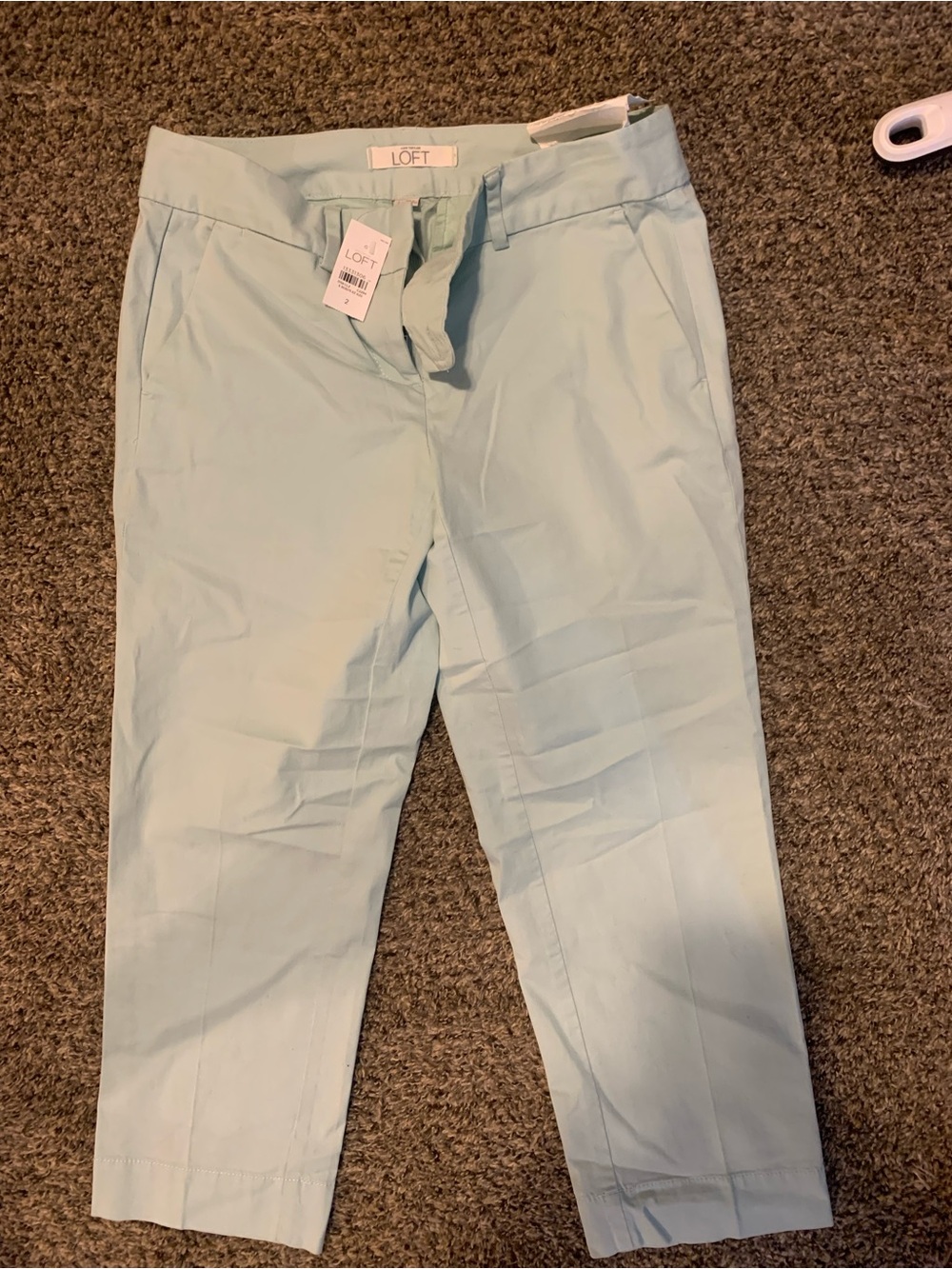 LOFT Light Mint Cropped Ankle Pants